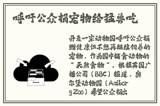 美美哒免费影院在线观看6